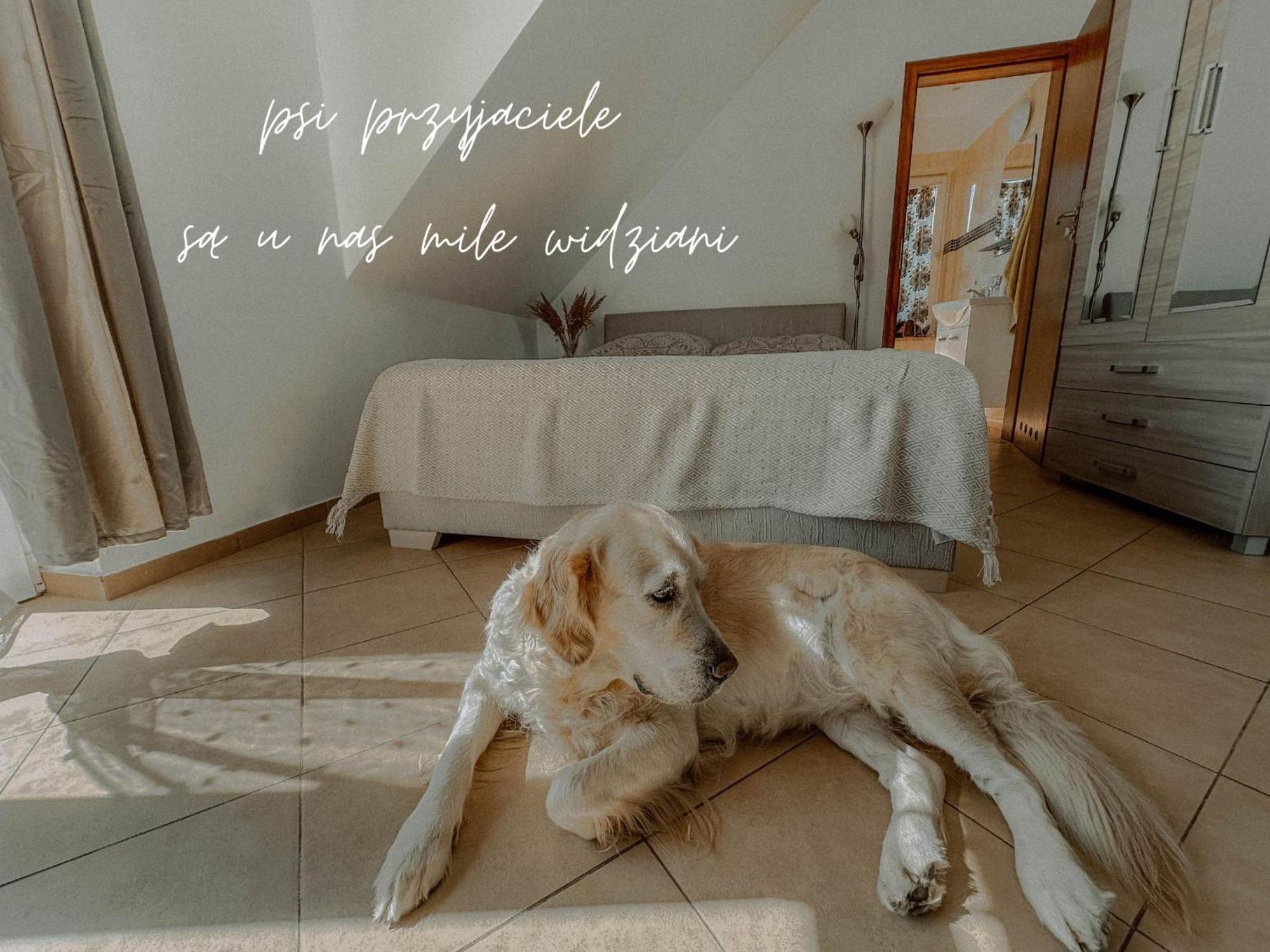 Boho Przystan Łazy Zewnętrze zdjęcie