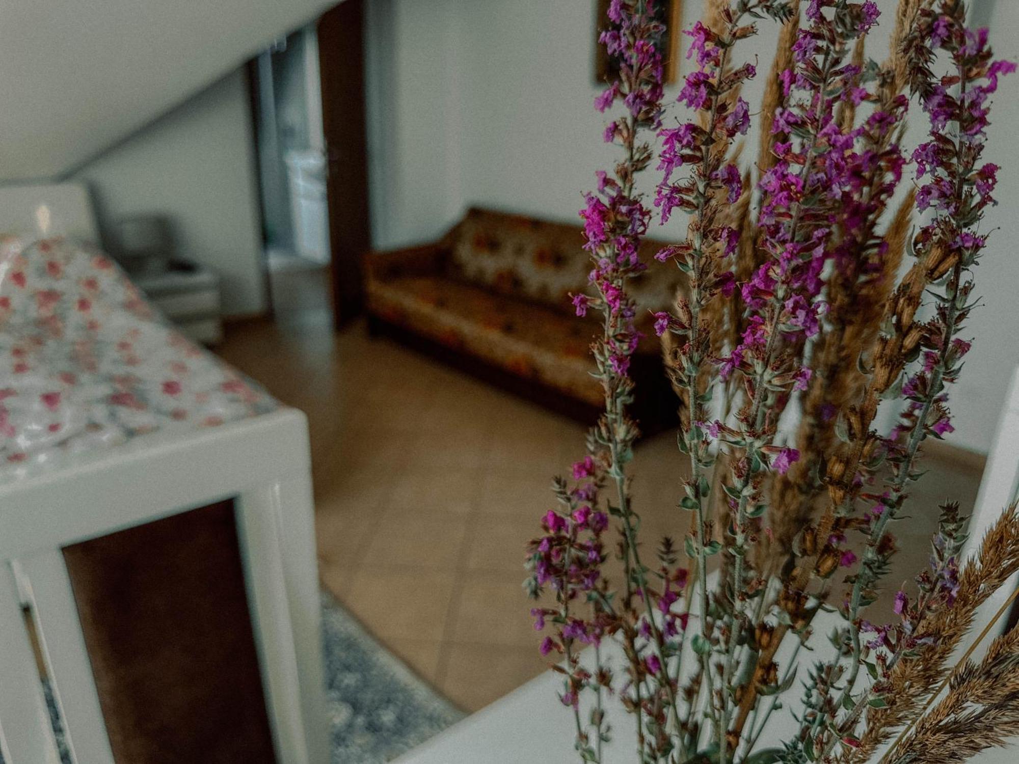Boho Przystan Łazy Zewnętrze zdjęcie